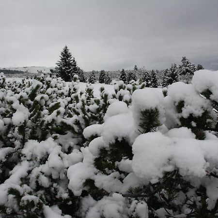 Fewo Purper Leilighet Frauenberg Eksteriør bilde