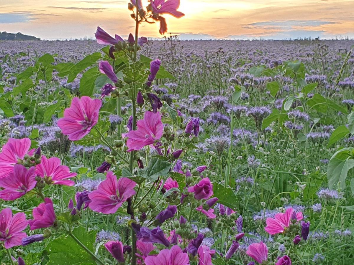 Fewo Purper Leilighet Frauenberg Eksteriør bilde